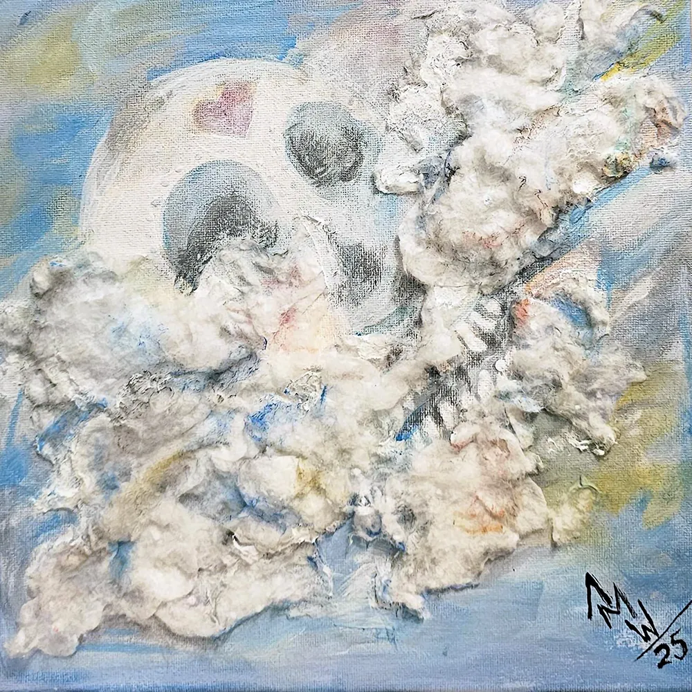 ENTRE NUBES